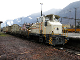 Greuter Tm 237 906-3